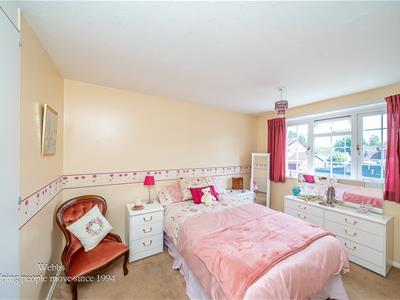Picture 20
